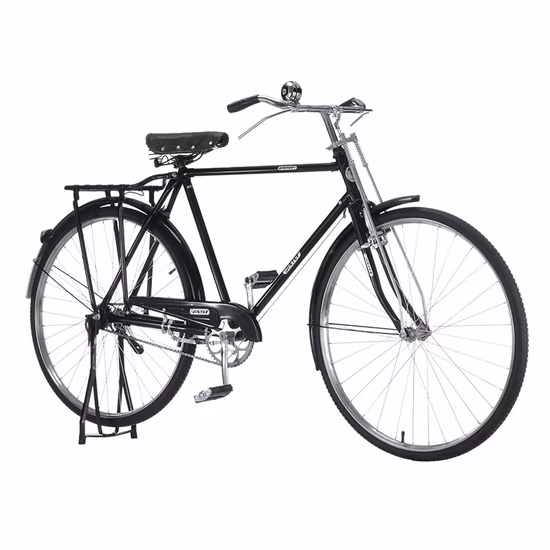 Basikal Tua (Vintage Bicycle)