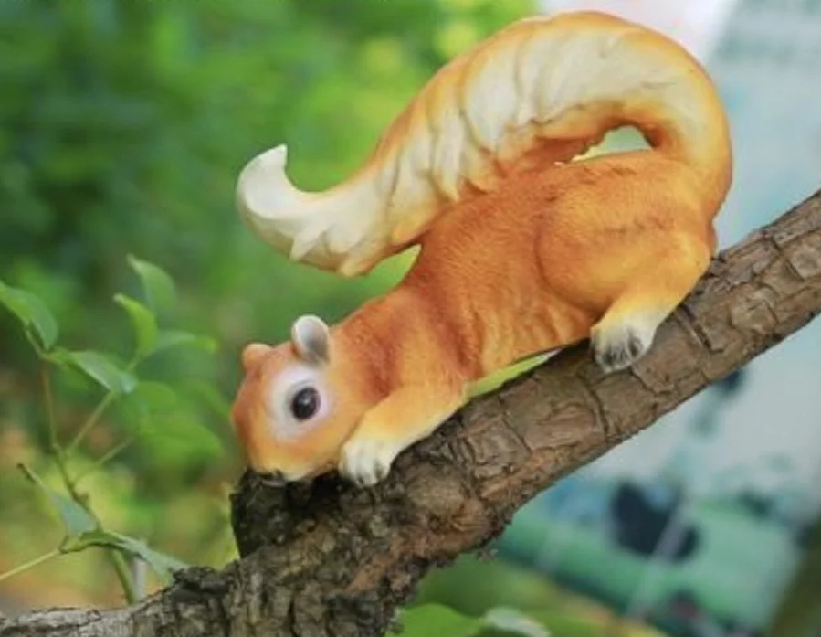 Squirrel type 4