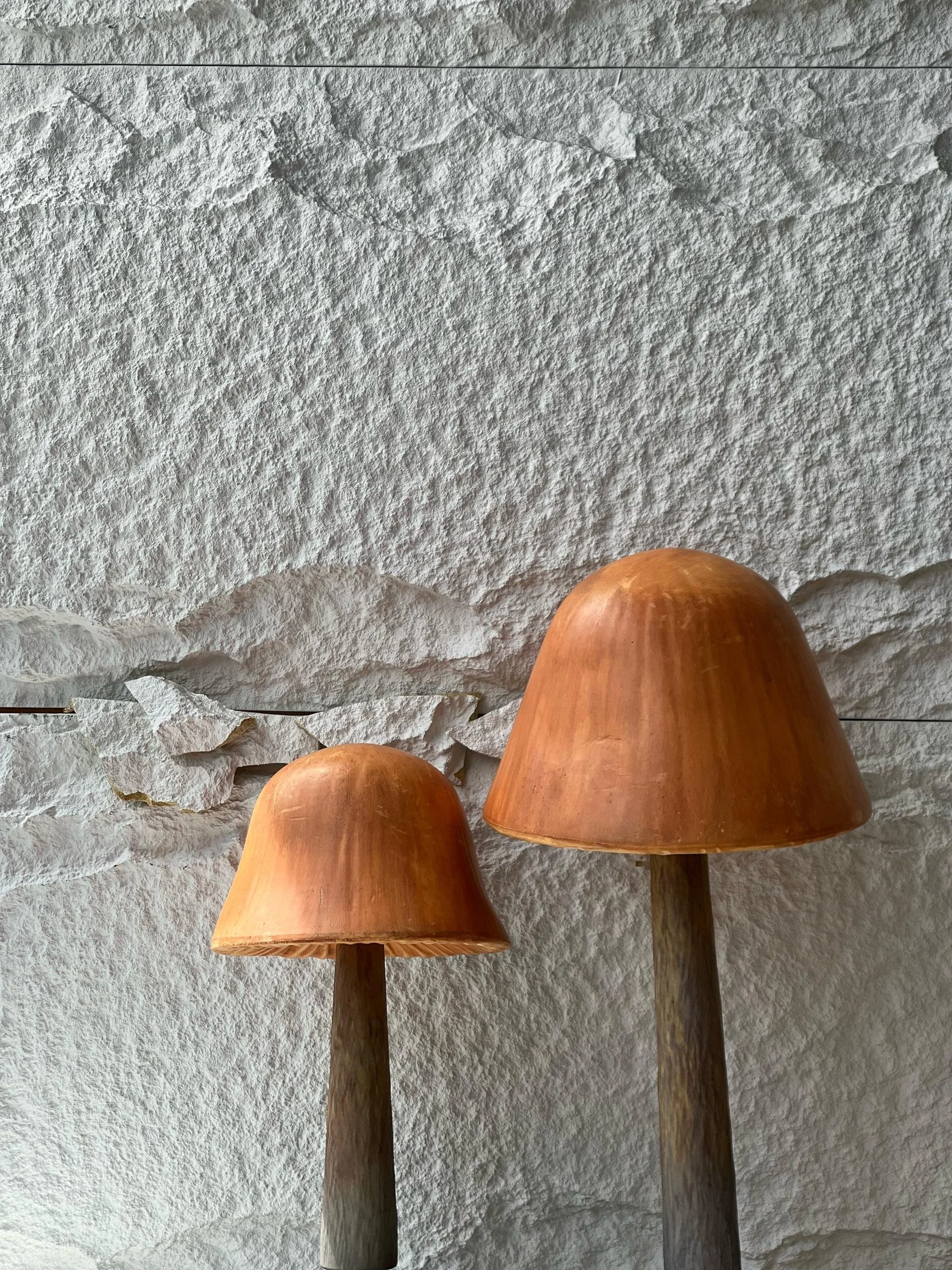 Mushroom A