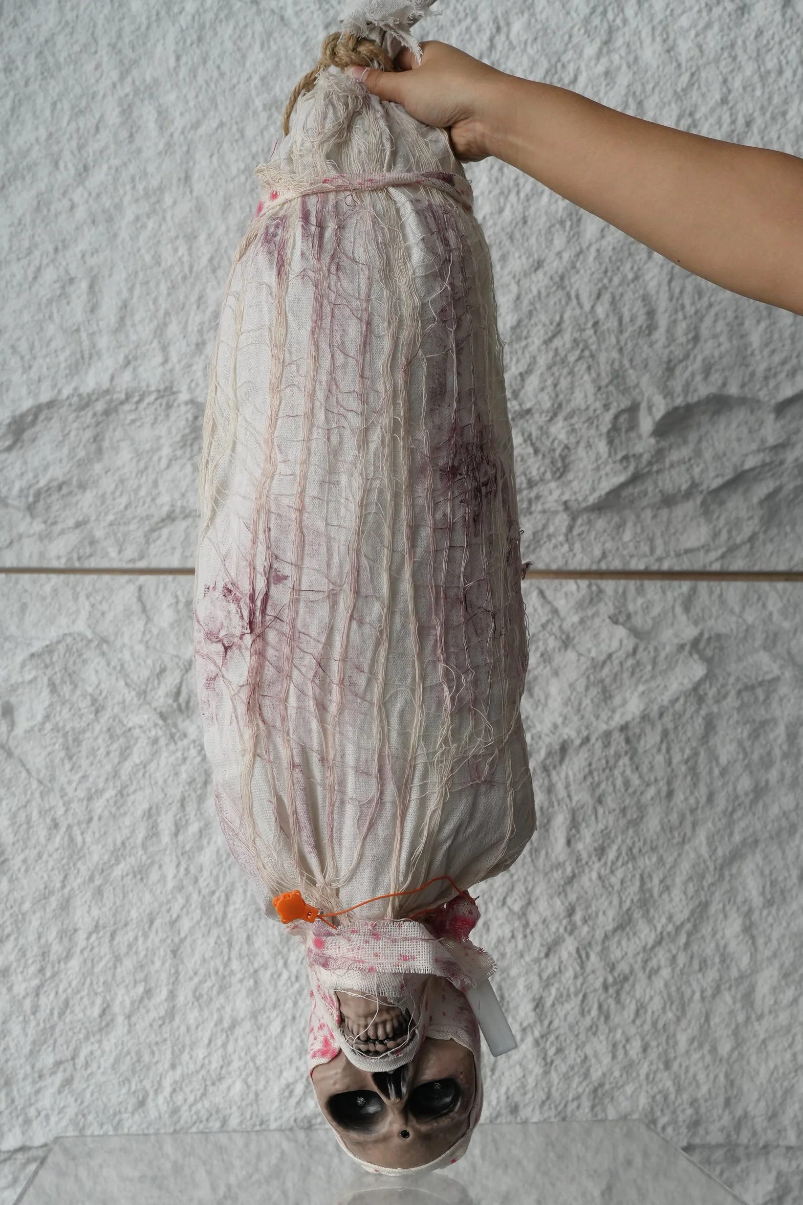 Mummified Body #2