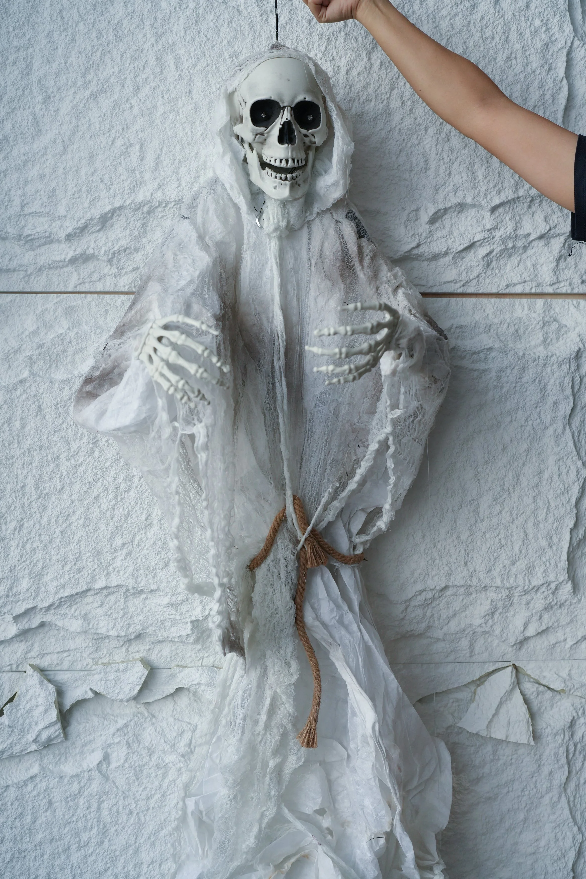 Hanging Skeleton #1