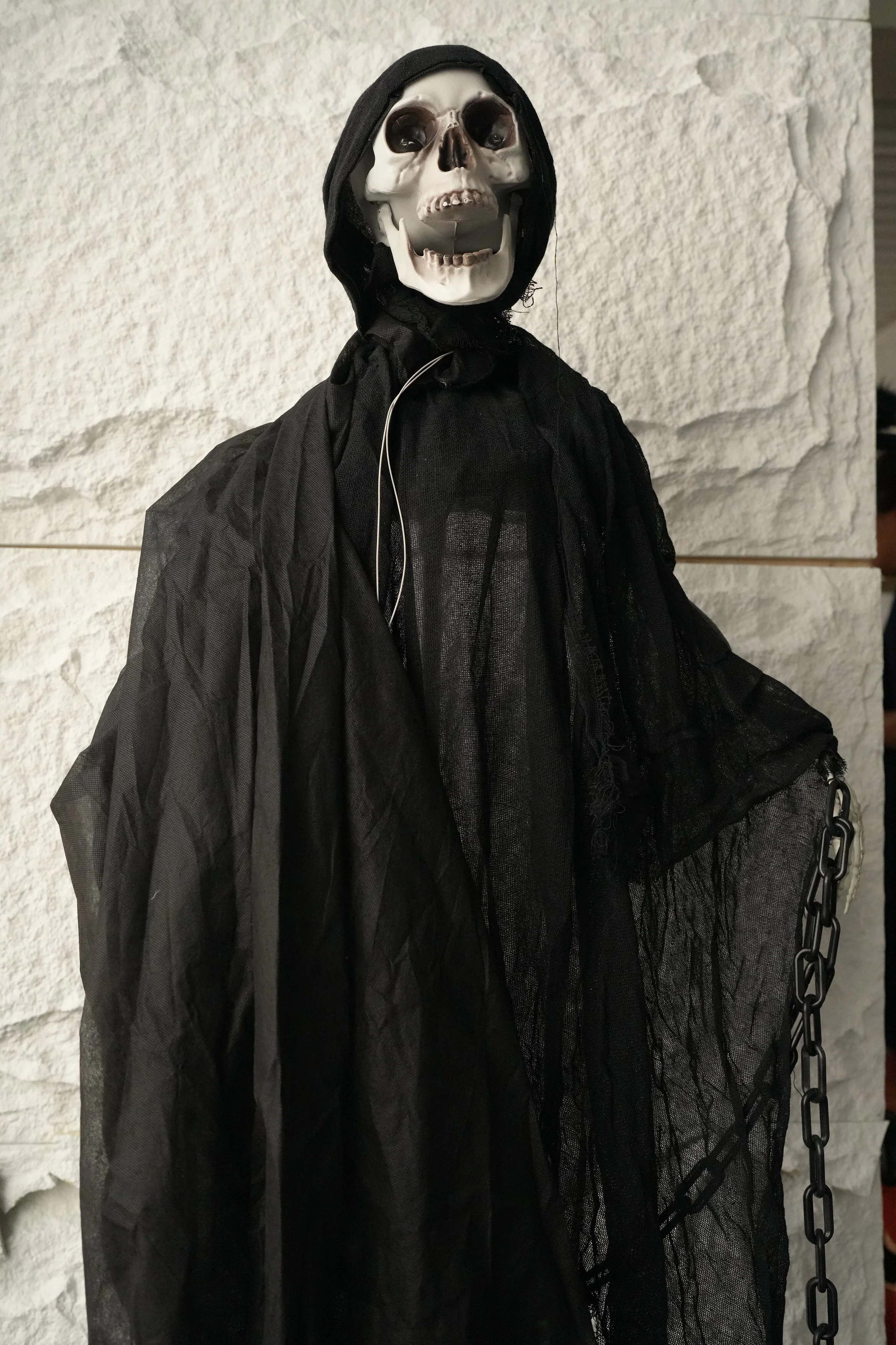 Standing Skeleton #6