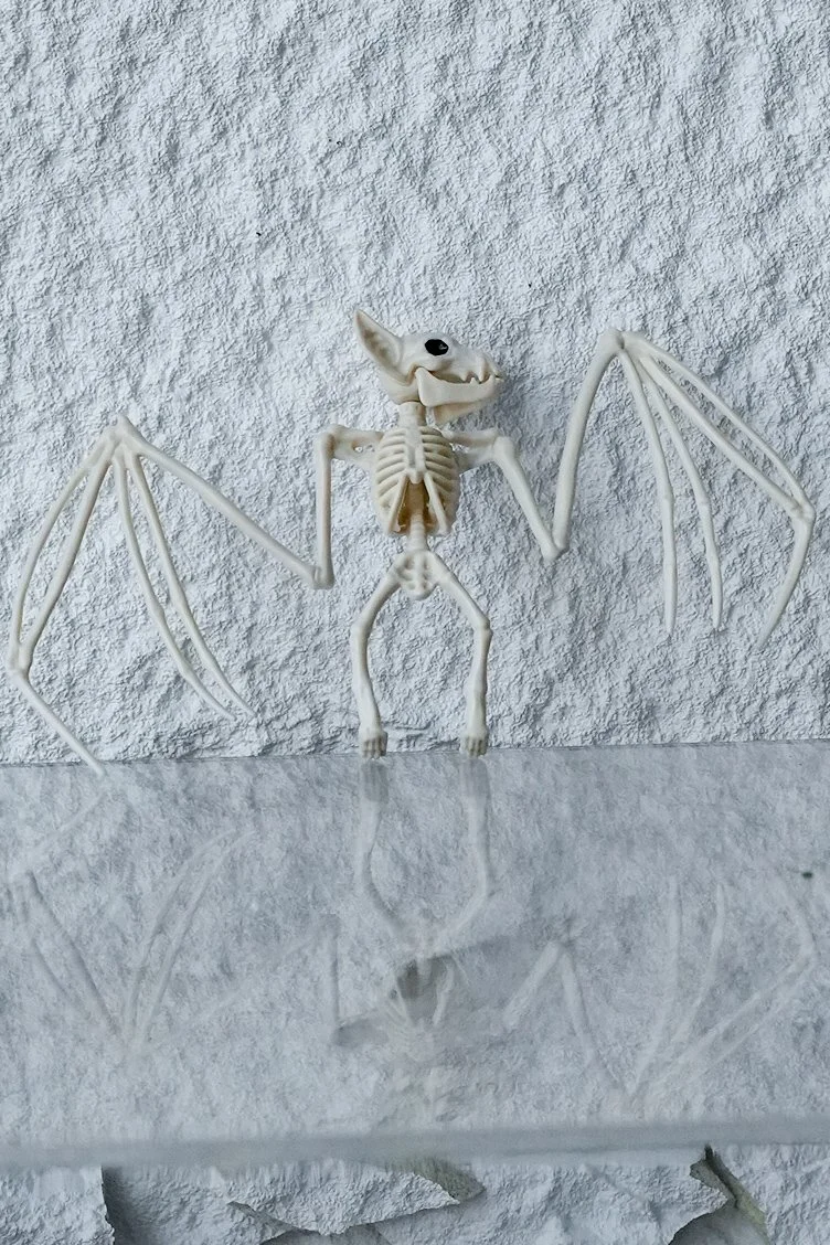 Skeleton Bat