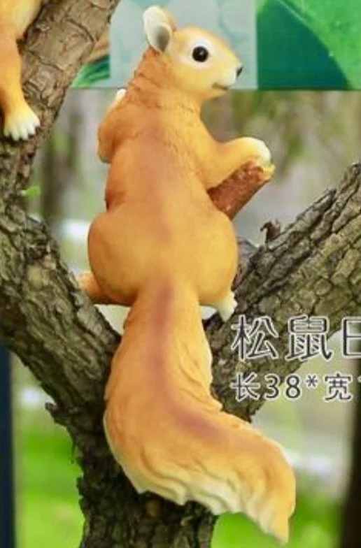 Squirrel type 3