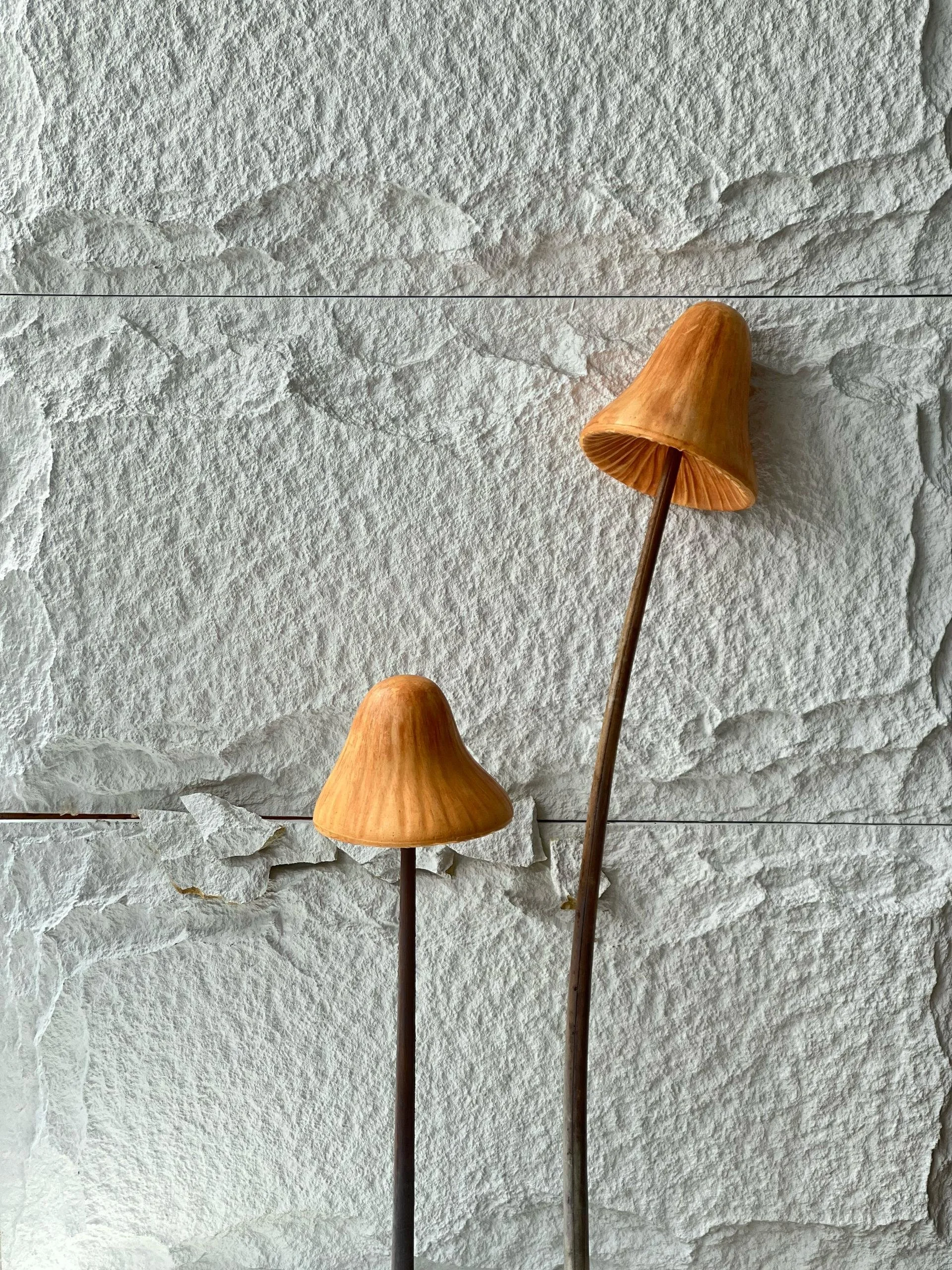 Mushroom B