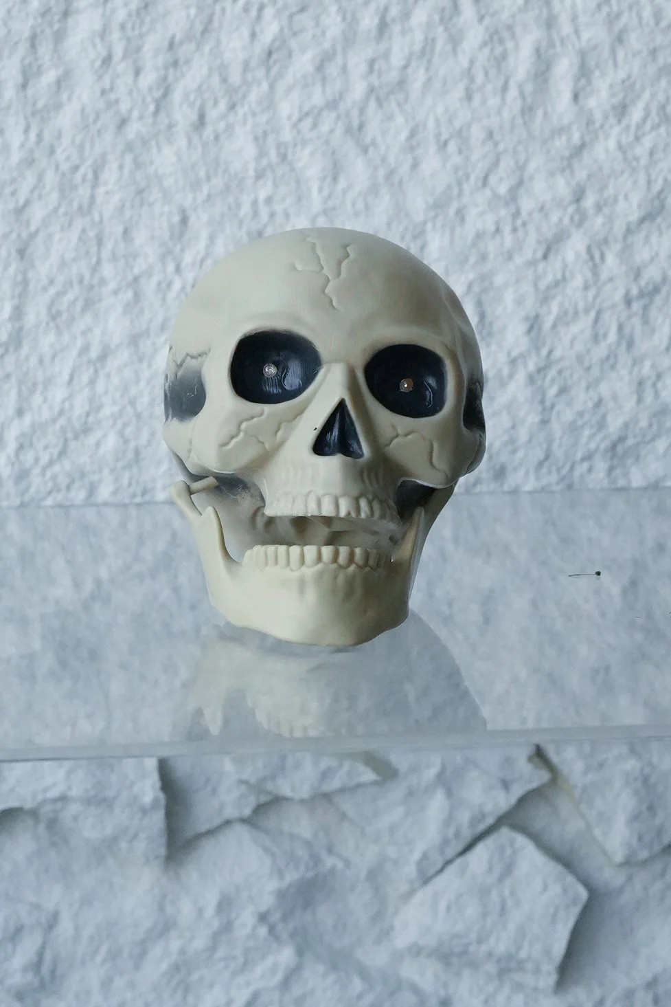 Life Size Human Skull #1