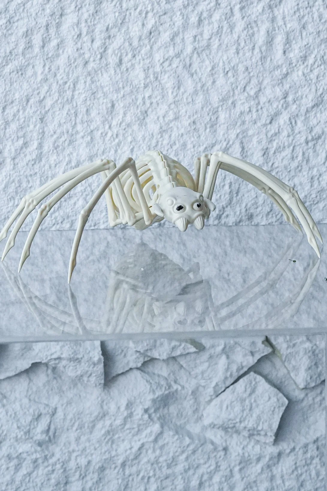 Skeleton Spider