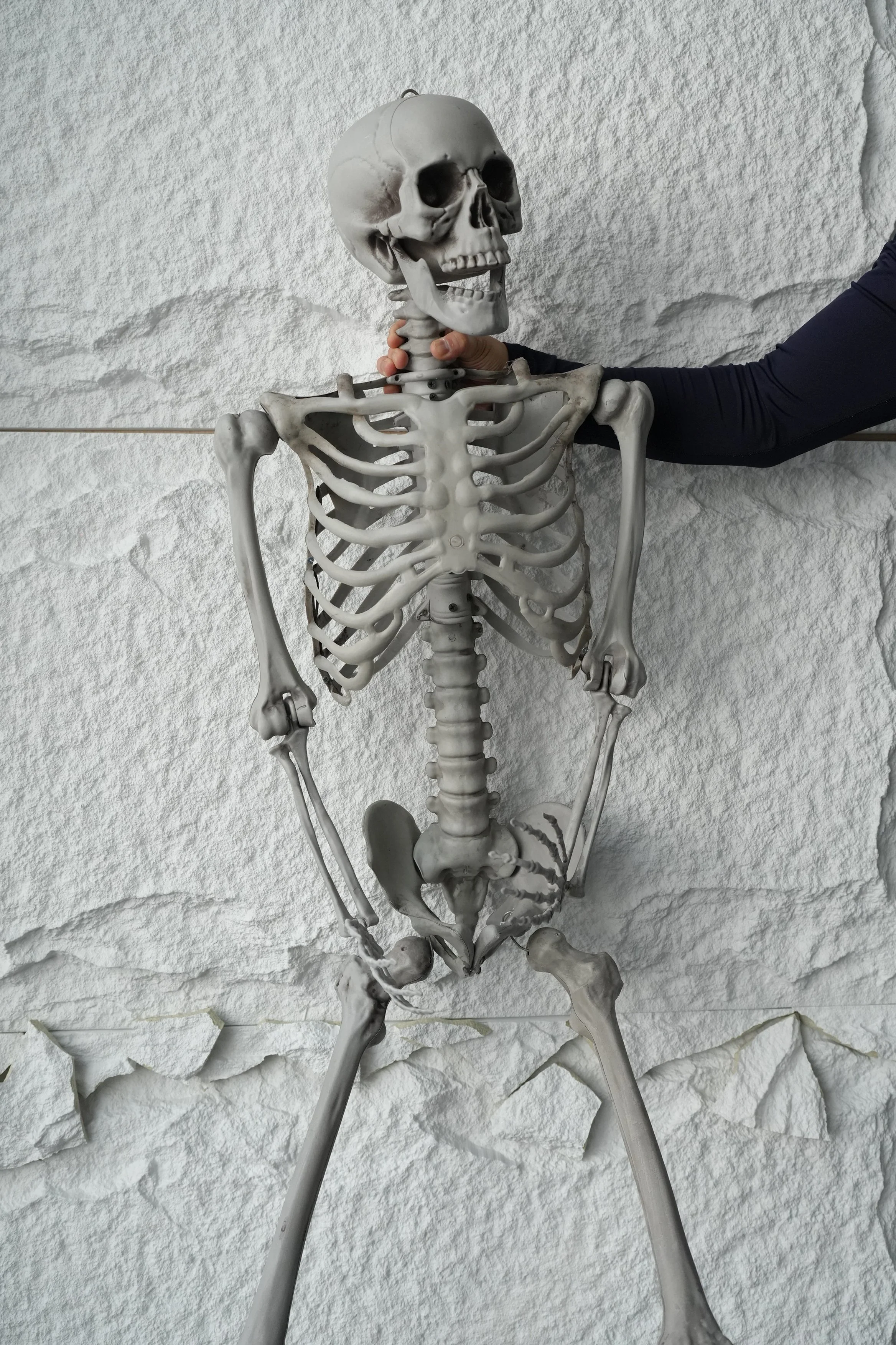 Skeleton #4