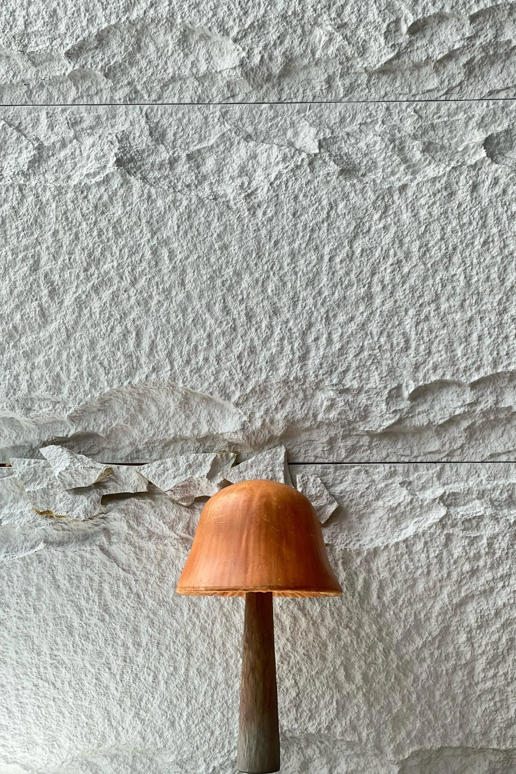 Mushroom A