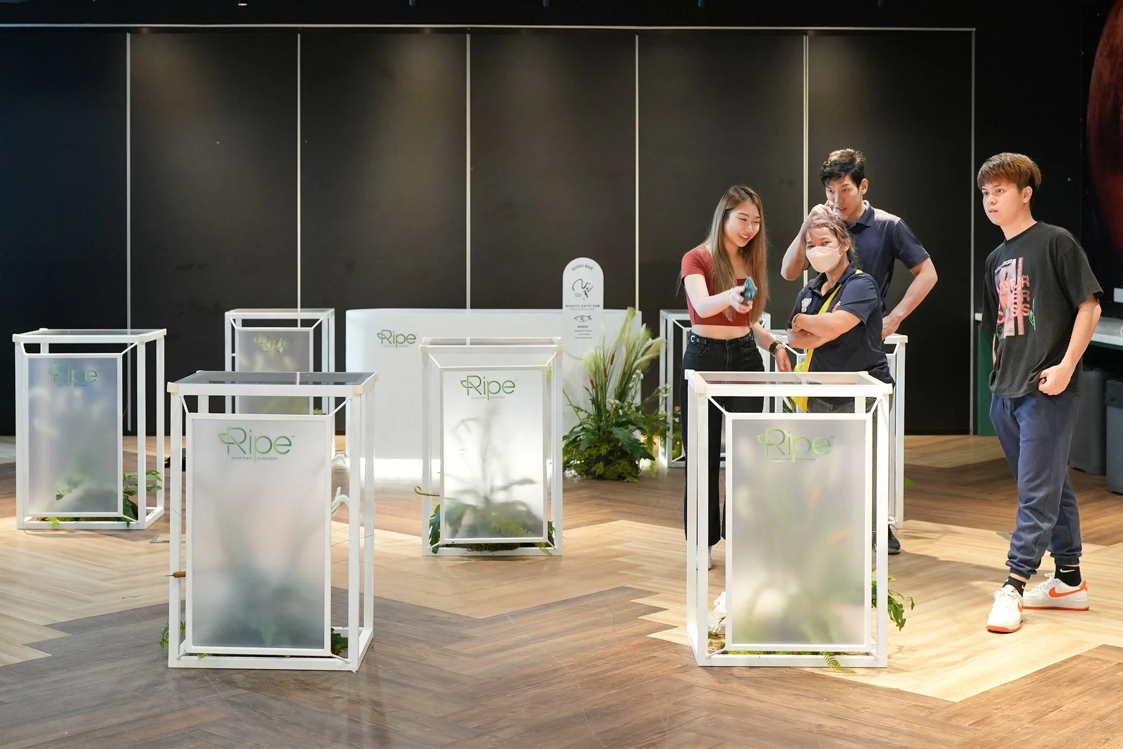 Expo Showcase Terrarium Set