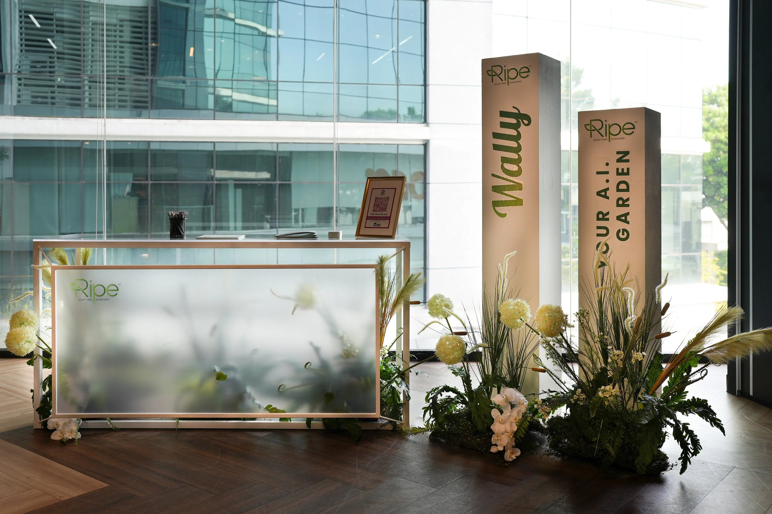 Expo Showcase Terrarium Set