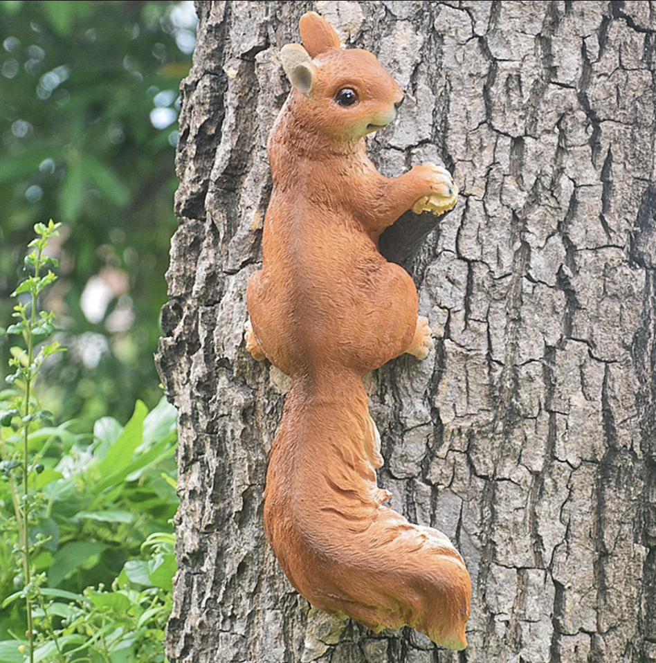 Squirrel Type 2