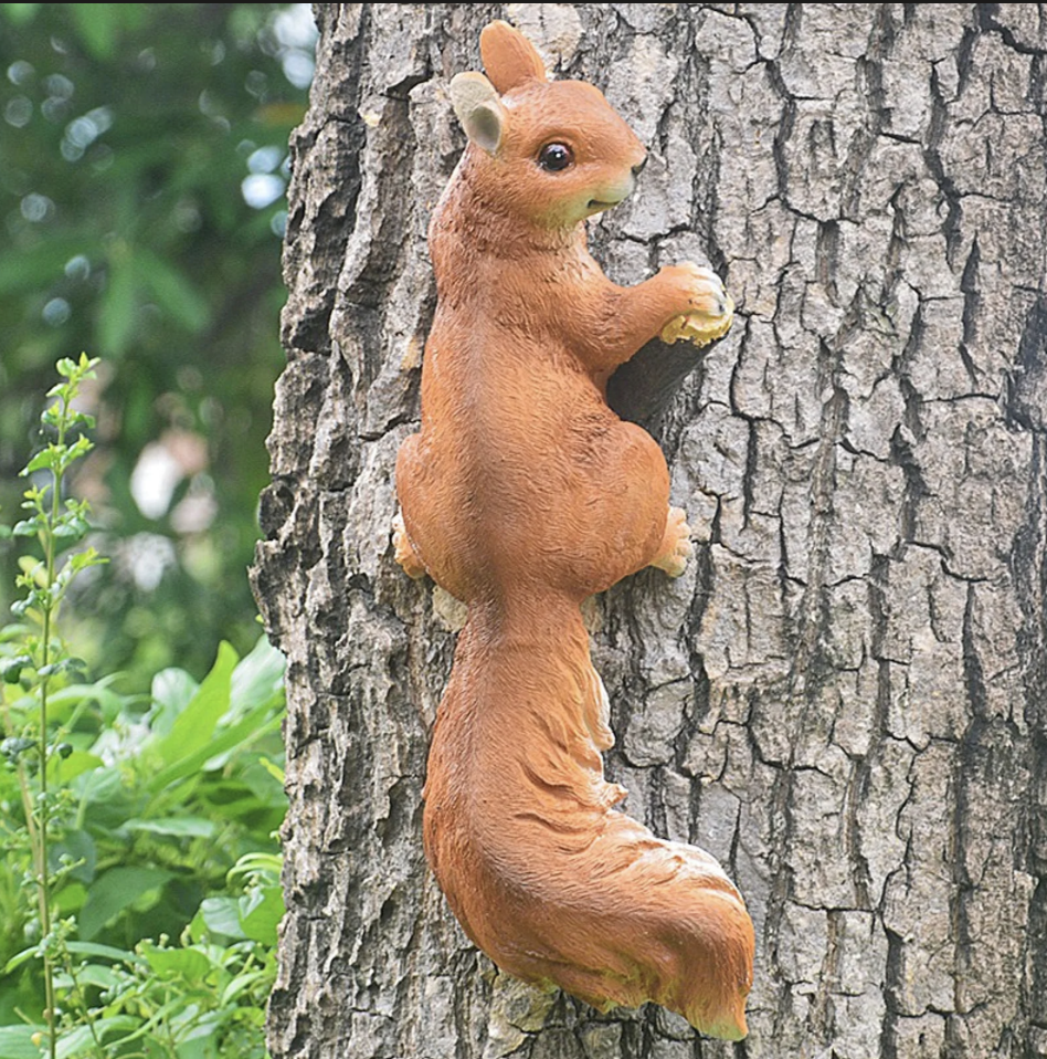 Squirrel type 3