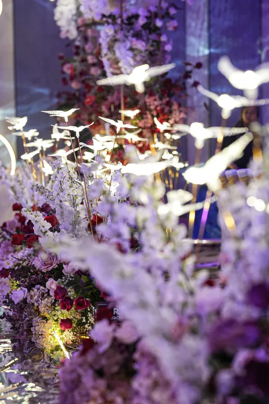 Illuminated Birds