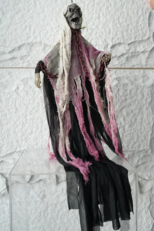 Hanging Skeleton Body #7