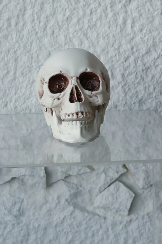 Life Size Human Skull #2