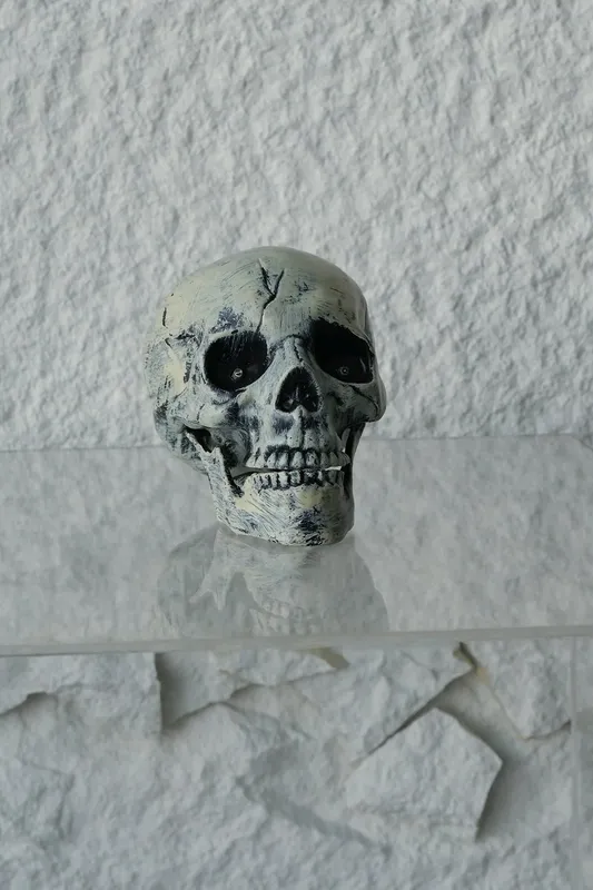 Life Size Human Skull #3