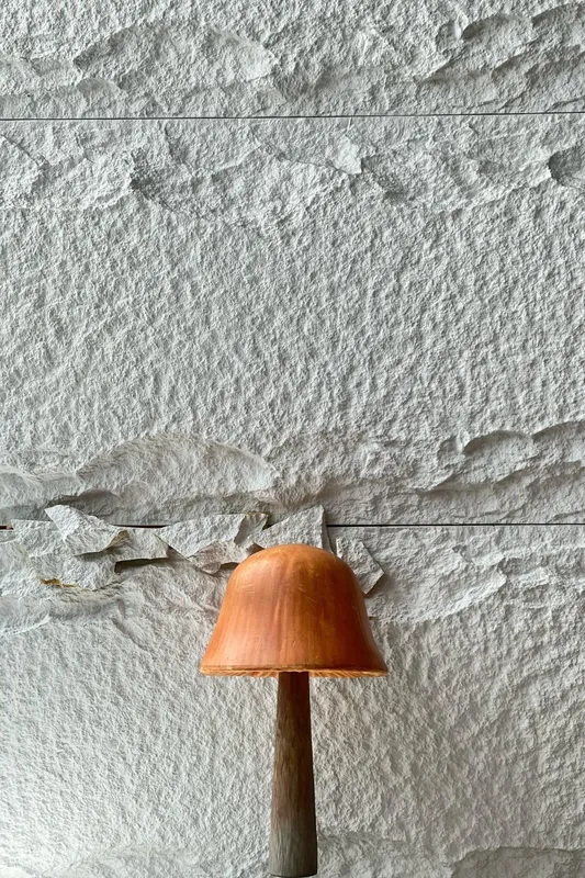 Mushroom A