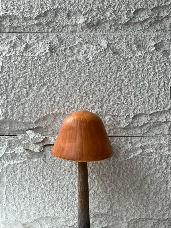 Mushroom A
