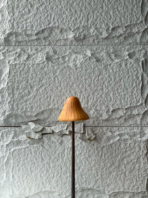 Mushroom B
