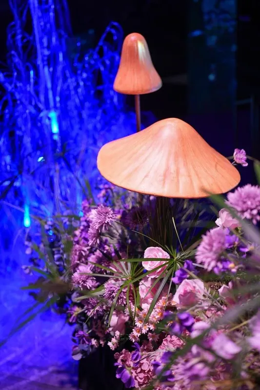 Mushroom B