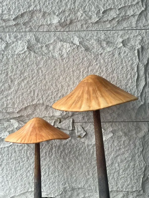 Mushroom C