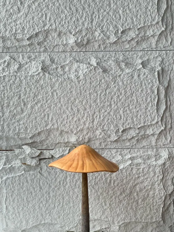 Mushroom C