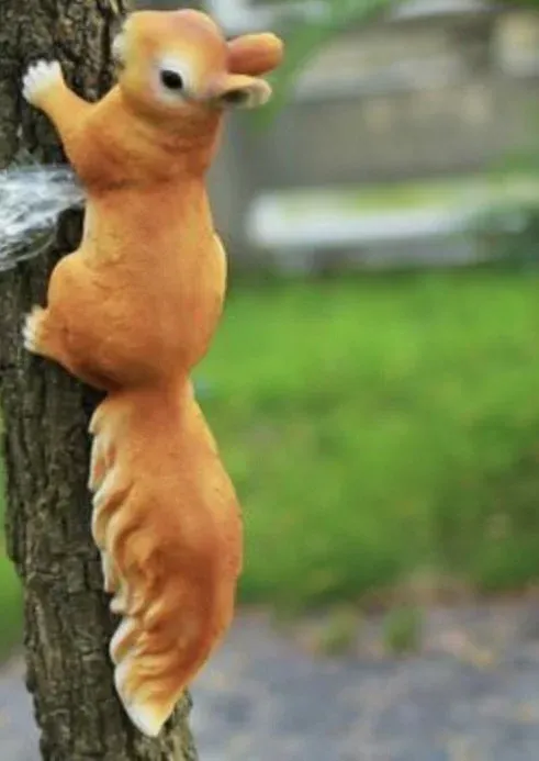 Squirrel Type 2