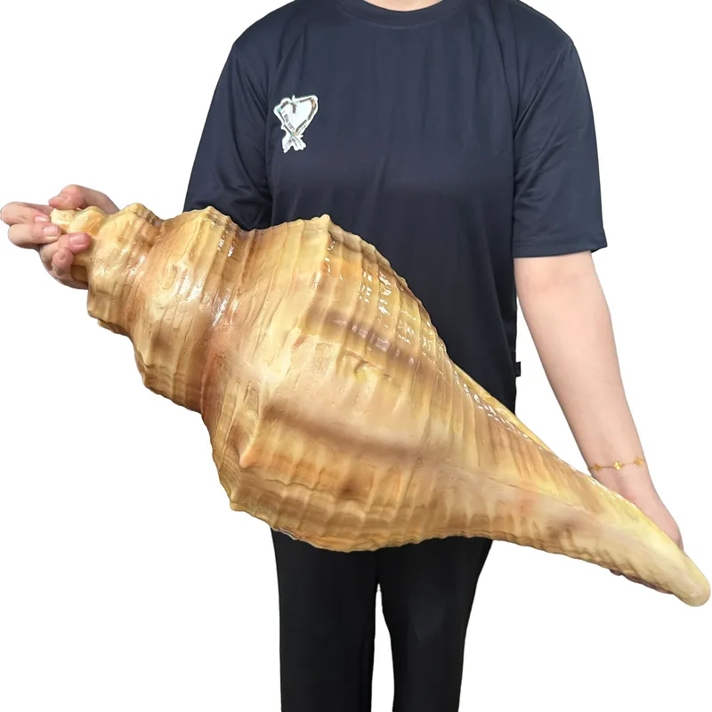 Giant Seashell Fibreglass 2