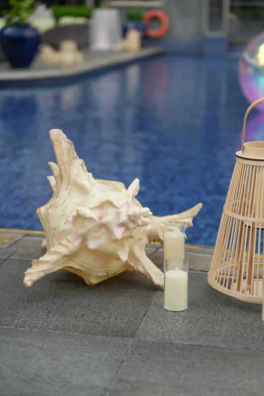Giant Seashell Fibreglass 3