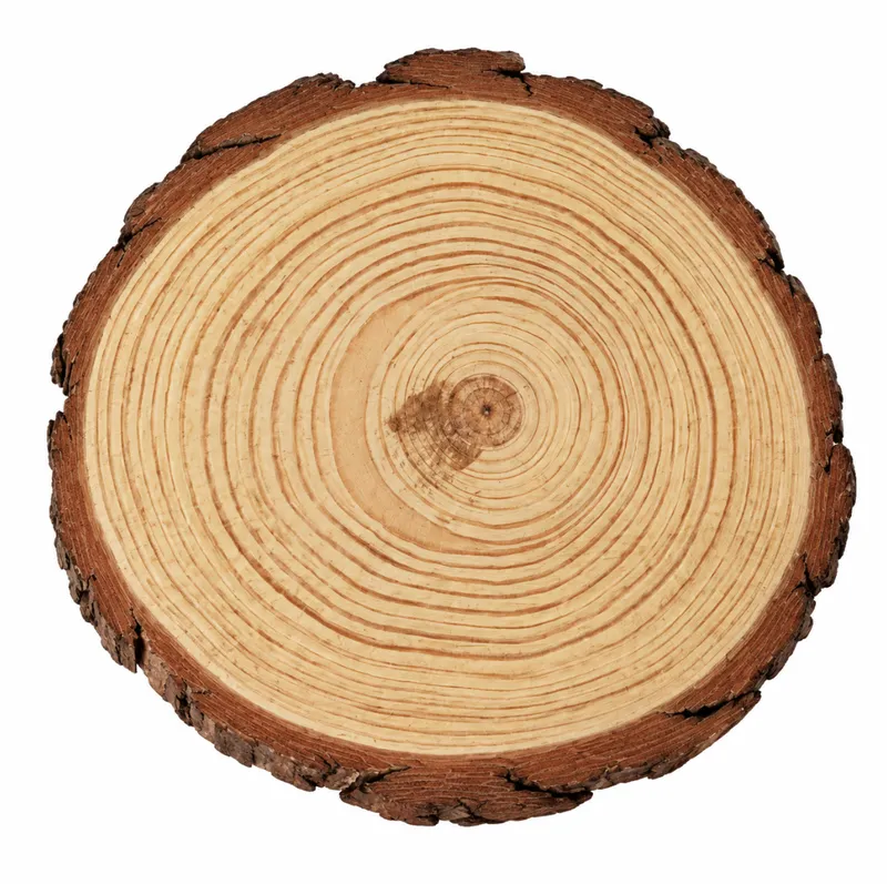 Rustic Wooden Log Slice
