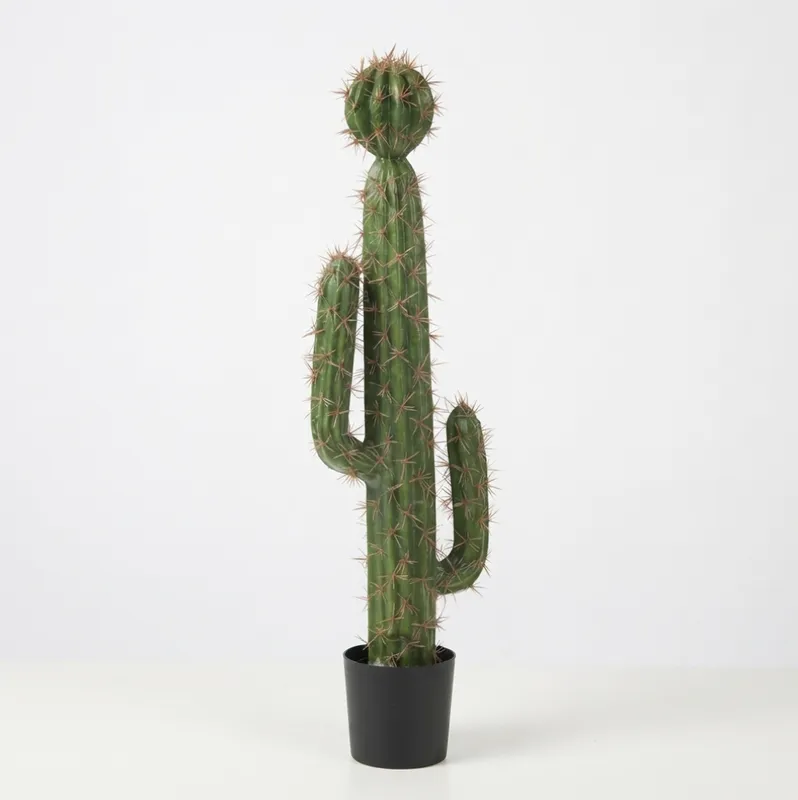 Saguaro-Style Cactus