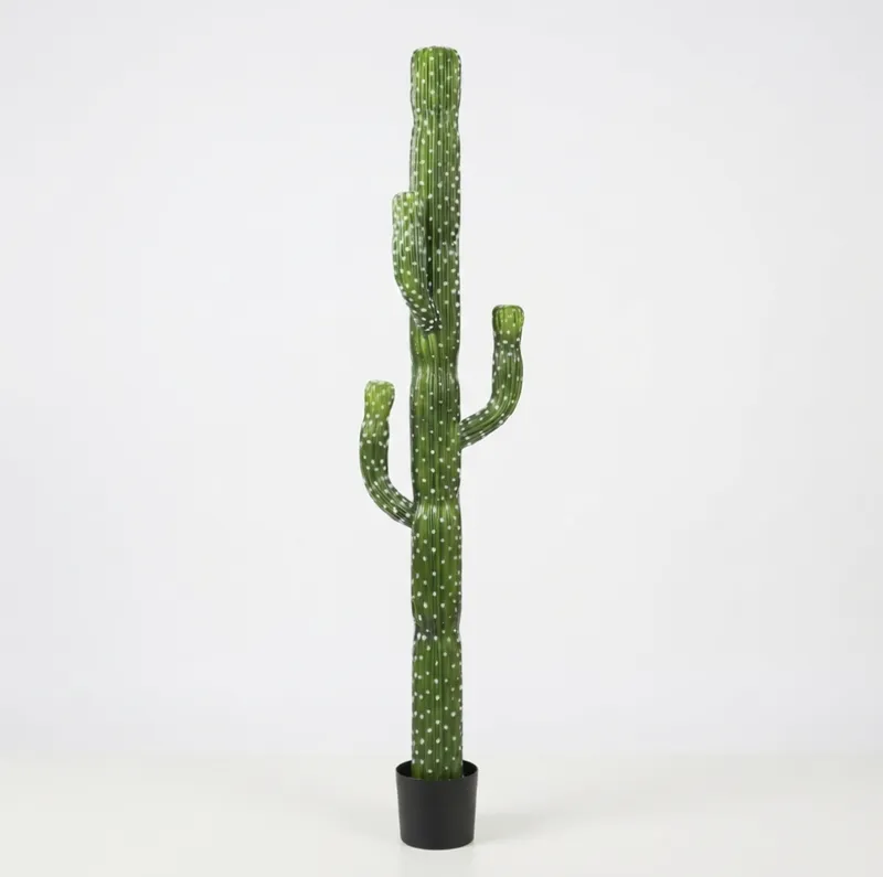 Saguaro-Style Cactus in large