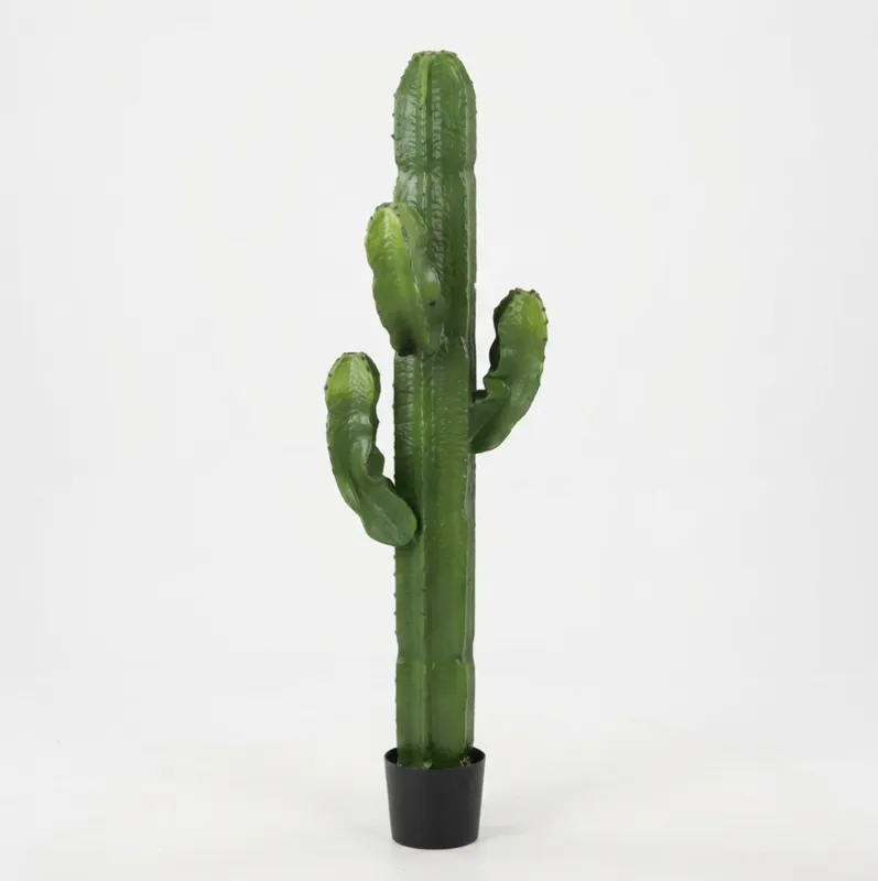 Ribbed Candelabra Cactus Large
