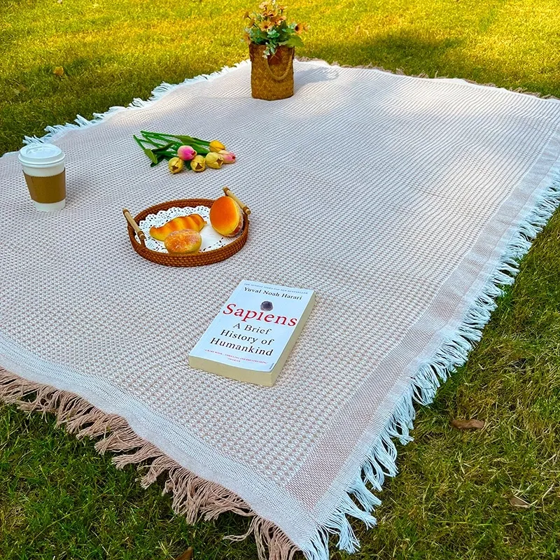 Picnic Blanket Type 4