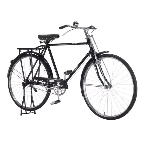 Basikal Tua (Vintage Bicycle)